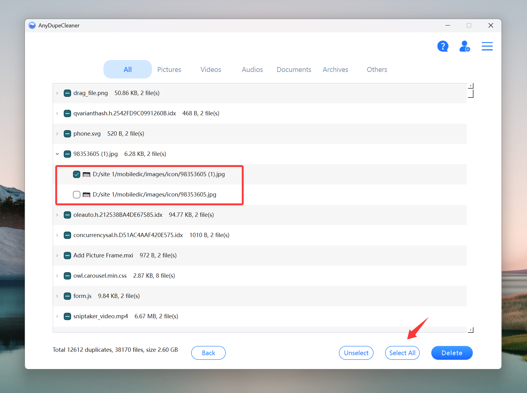 select_all_file