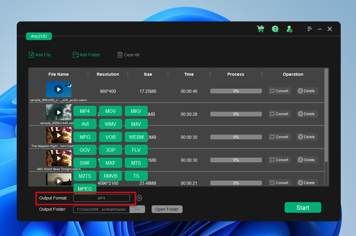 Any2VID Video Converter