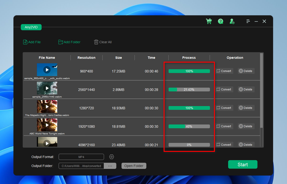 Any2VID Video Converter