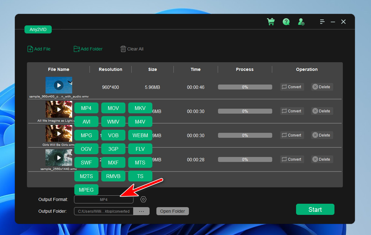 Any2VID Video Converter