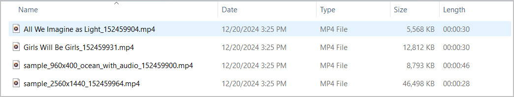 Any2VID Video Converter